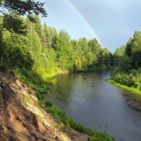 Riverside With Surrounding Trees