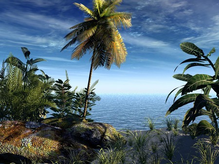 8.jpg - water, blue, sky, palmtree