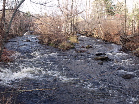 3 Brooks - water, sky, trees