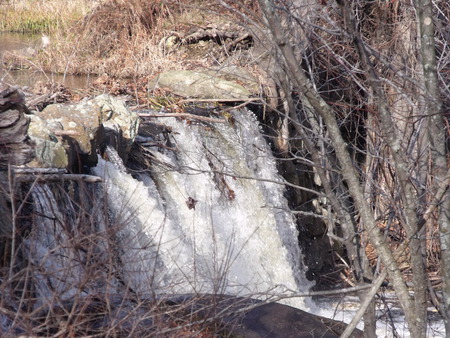 Overflowing Love - rock, trees, water