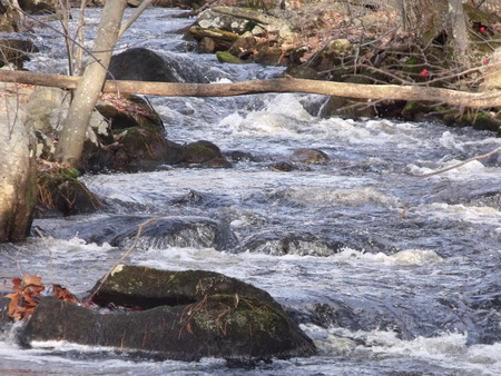 The Flow Of Nature - water, trees, rocks