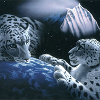 Fantasy