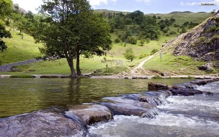 Small river - nature, rivers