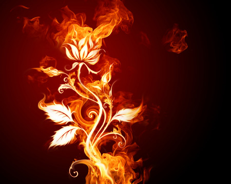 flower flameing blaze - nature, flame, flowers, fire, blaze