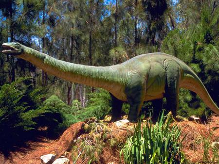 prehistoric - dinosaur, ultrasauros, reptile