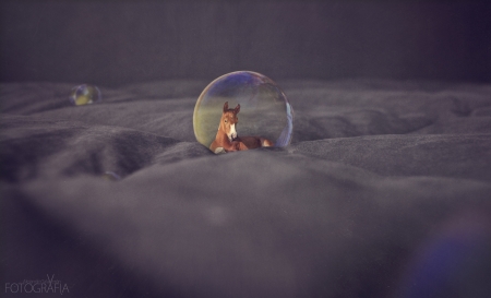 Fantasy - bubble, fantasy, purple, alejandro talaveron, creative, horse