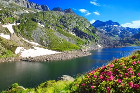 Ariege, France - wildlife, valley, lake, mountain, landscape, summer, spring, rocks, national, view, river, grass, wildflowers