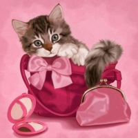 Sweet Kitty