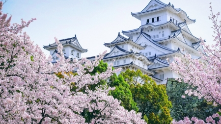 Himeji Castle - japan, spring, sakura, cherry blossom, scenery, himeji, castle, japanese, nature