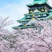 Osaka Castle