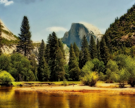 Green Spruce on the Shore of a Mountain Lake - trees, shore, nature, spruce, lake, forest, mountain, sky