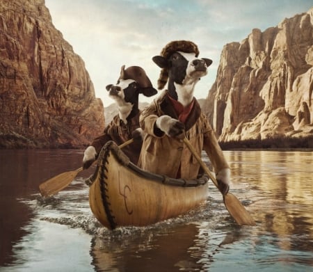 A long journey - funny, animal, boat, fantays, add, andy mahr, journey, creative, fantasy, commercial, hat, river, cow, vaca