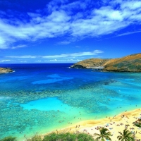 Sea Beach