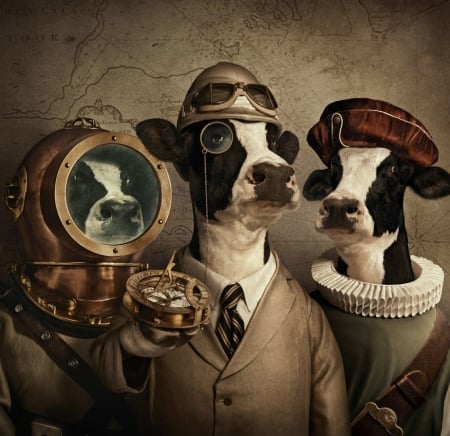 Scientists - cow, hat, funny, creative, fantasy, vaca, andy mahr, trio, scientist, commercial, add