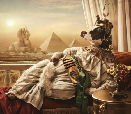 Cowpatra - cow, queen, commercial, creative, andy mahr, egypt, fantasy, animal, funny, vaca, add