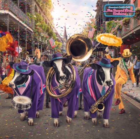 Cownaval - funny, purple, animal, pink, yellow, add, umbrella, andy mahr, fantasy, new orleans, commercial, hat, carnaval, cow, vaca, music