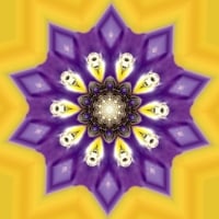 Purple on Yellow Mandala FC