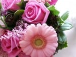 Pink Gerbera and Roses