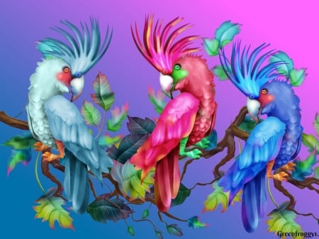 THREE LARGE PARROTS - three, image, abstract, parrots