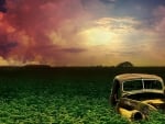 Abandoned Car on Wheat Field