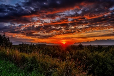 Amazing sunset - clouds, sunset, amazing, beautiful, landscape, fiery, grass, sky