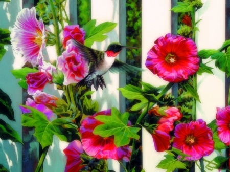 Hollyhocks - summer, paintings, spring, fence, flowers, nature, garden, hummingbird, love four seasons, animals