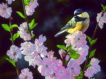 Springtime Blossoms - flowers, birds, nature, paintings, garden, spring, love four seasons, animals