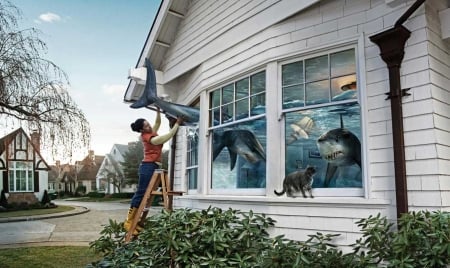 Danger inside - woman, cat, funny, fantasy, creative, shark, window, situation, fish, house, dan escobar