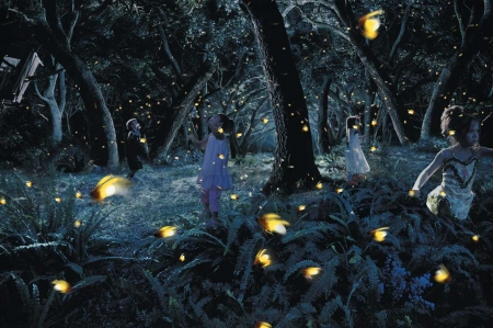 Fireflies hunt