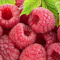 Raspberries