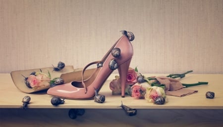 Still life - snail, pink, still life, rose, dan escobar, flower, shoe