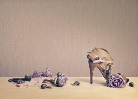 Still life - snail, pink, still life, rose, dan escobar, flower, shoe