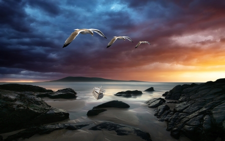 Seagull Flying Above The Shore - clouds, birds, boat, digital art, sea, shore, nature, sky, rocks