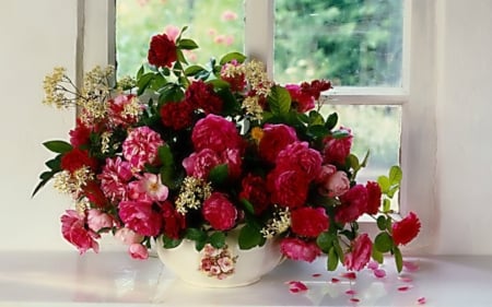 Beautiful Flowers - bloom, flowers, petals, window