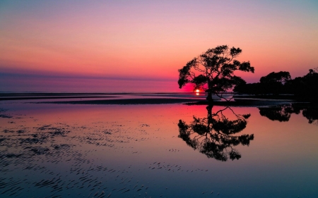 sun on the horizon - cool, fun, beach, sunset, ocean, nature