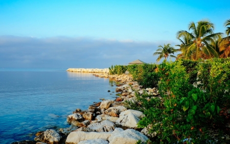 Small Rocky Coast on the Ocean