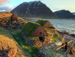 Houses on the Coast,Iceland