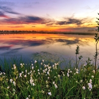 Lake Sunset