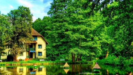 Rest in the Forest - nature, lake, calmness, trees, forest, reflection, green, house