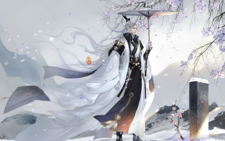 Asian prince - black, quing ming festival, fantasy, asian, wind, feimo, white, umbrella, petals, luminos, man, prince