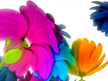 My colorful flowers - color, daisies, fantasy, flower