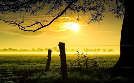 sunset - fun, sunset, nature, field, cool