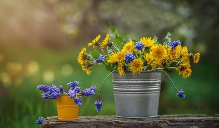 Pretty Wildflowers