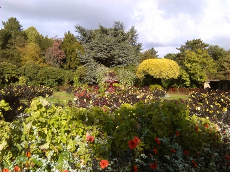 Wentworth castle gardens october 2016 - flowers, garden, dahlia, victorian