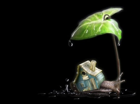 Snail - house, blue, water drop, home, snail, black, fantasy, green, leaf, art, luminos