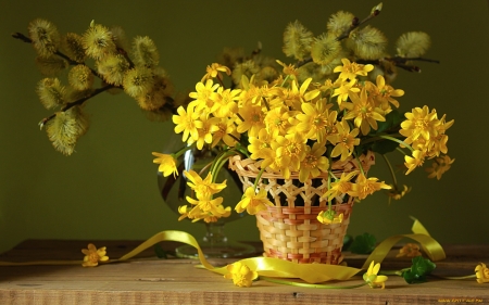 Spring Still Life - flowers, spring, willow branches, yellow