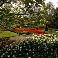 Longwood Gardens, Penn. in spring