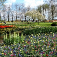 Keukenhof Park, Holland