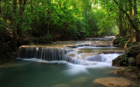 Forest waterfalls - forest, water, waterfall, green