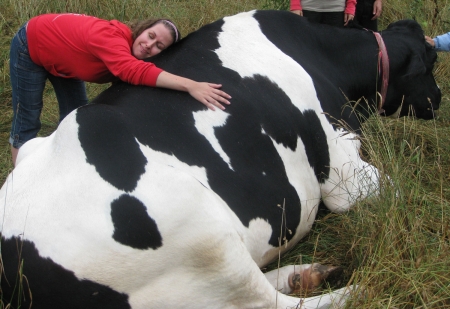 Hug A Cow. . - women, fun, female, boots, fashion, models, brunettes, western, cows, girls, cowgirl, style, outdoors, ranch, hug